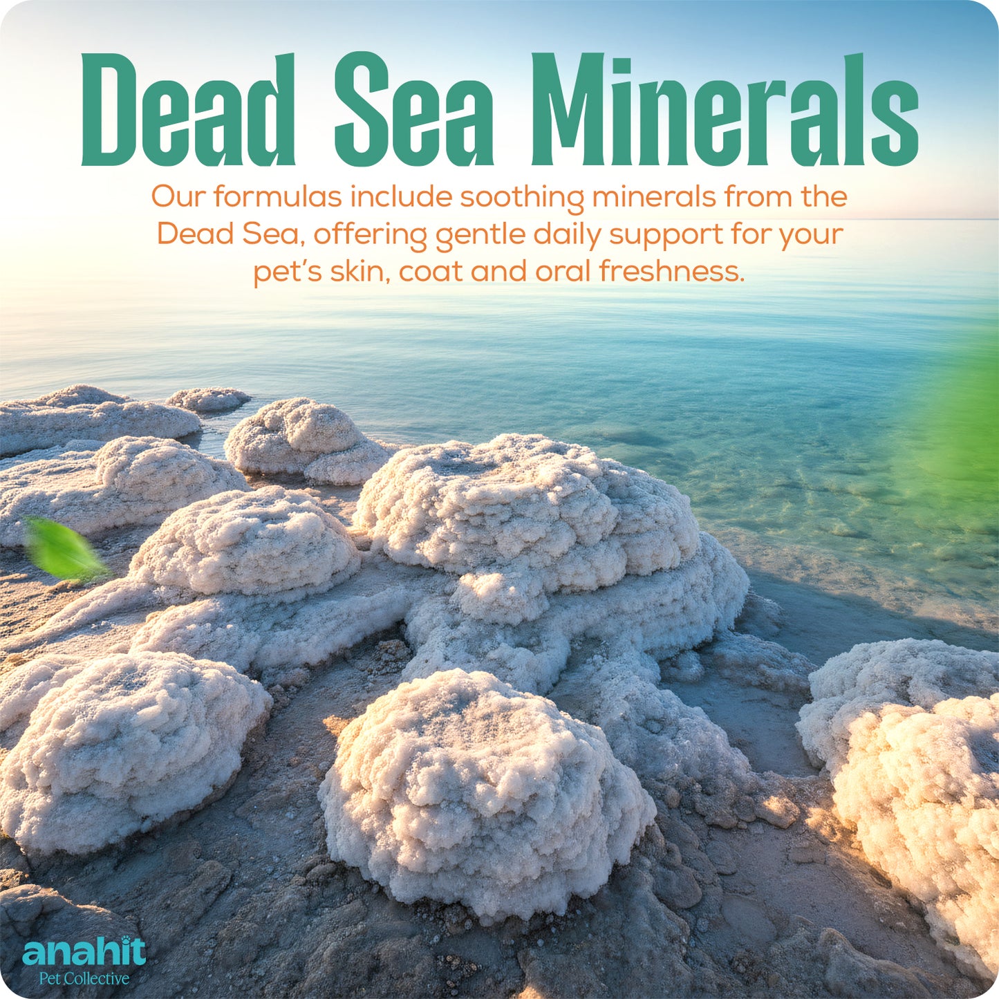 Dental Fresh Water Additive Apple Flavor