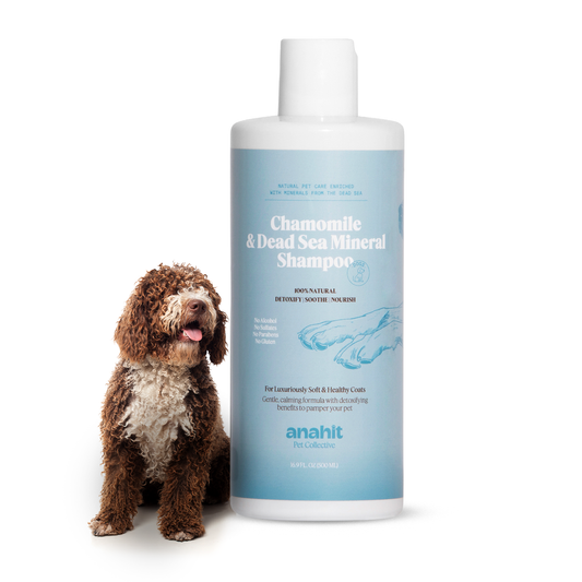 Chamomile & Dead Sea Mineral Shampoo For Dogs