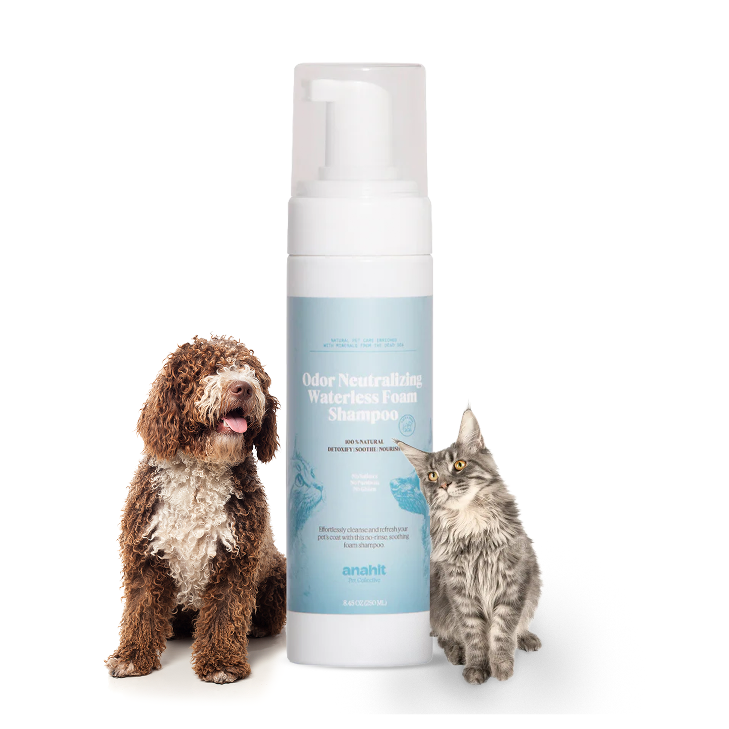 Odor Neutralizing Waterless Foam Shampoo