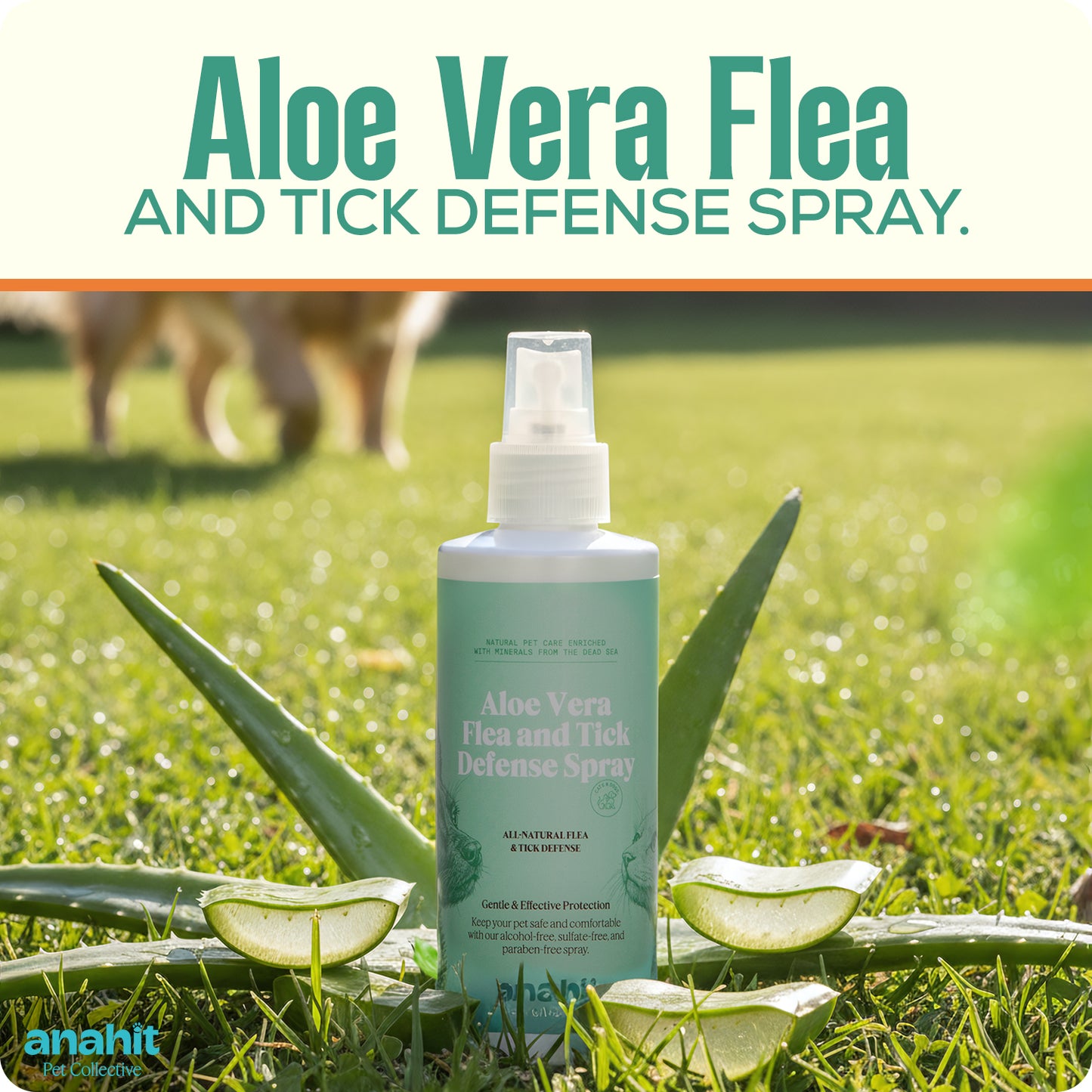 Aloe Vera Flea and Tick Defense Spray