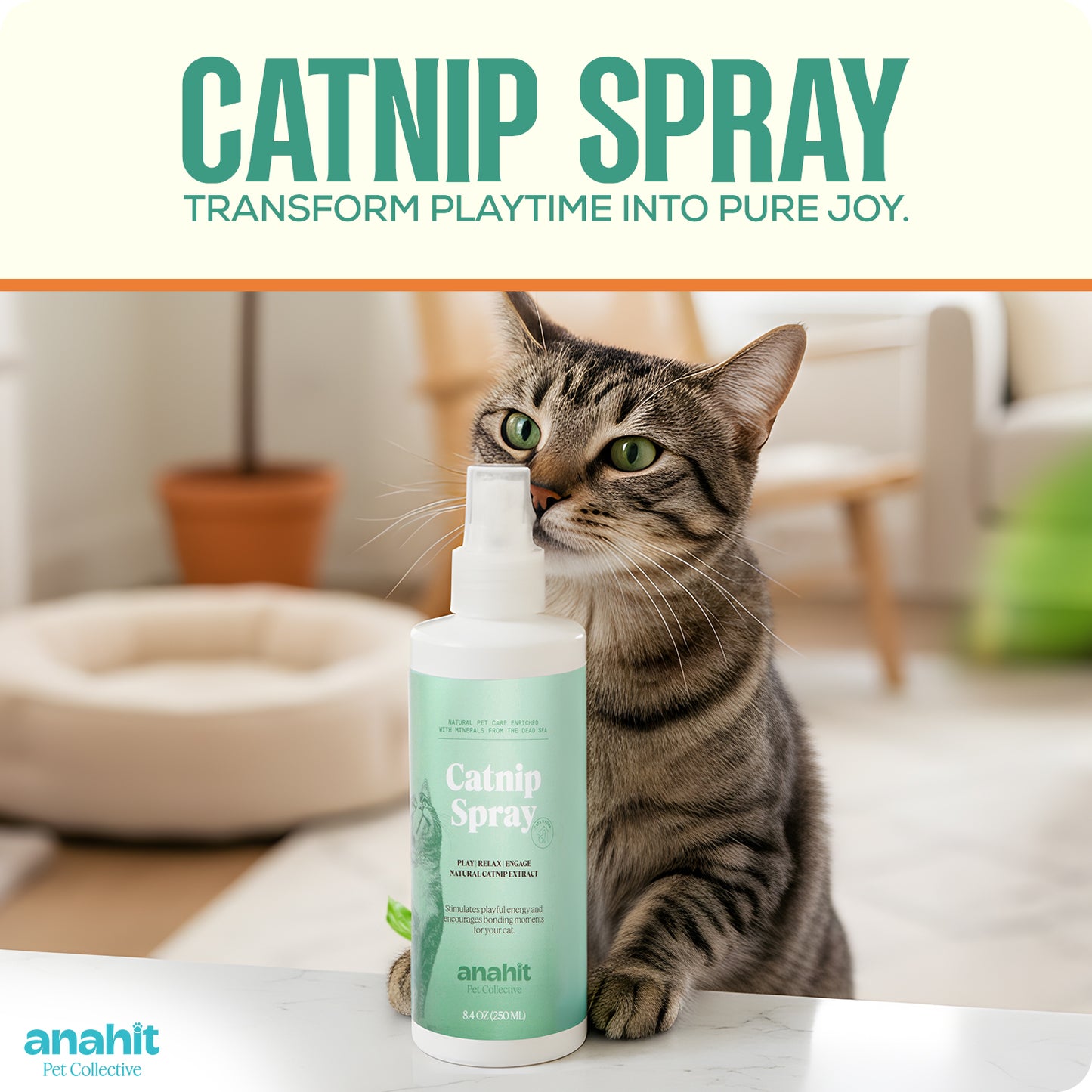 Cat Nip Spray