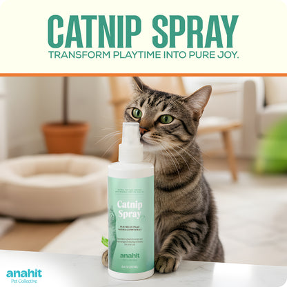 Cat Nip Spray