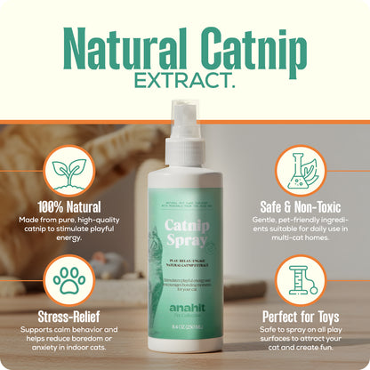 Cat Nip Spray