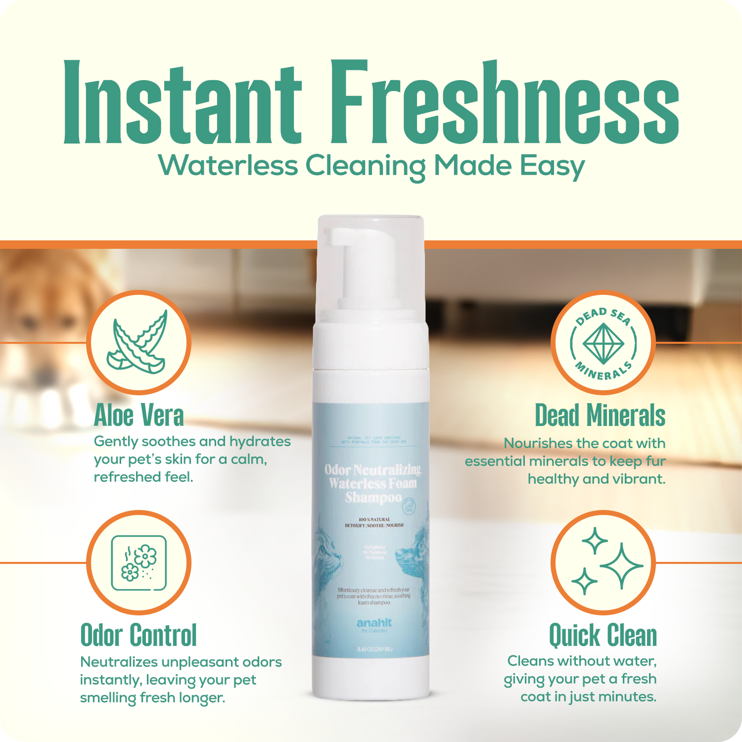 Odor Neutralizing Waterless Foam Shampoo