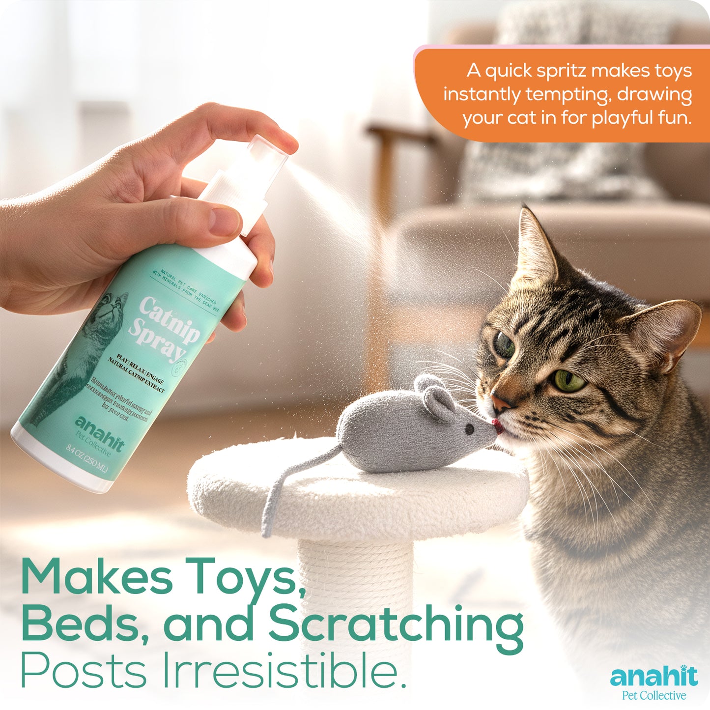 Cat Nip Spray