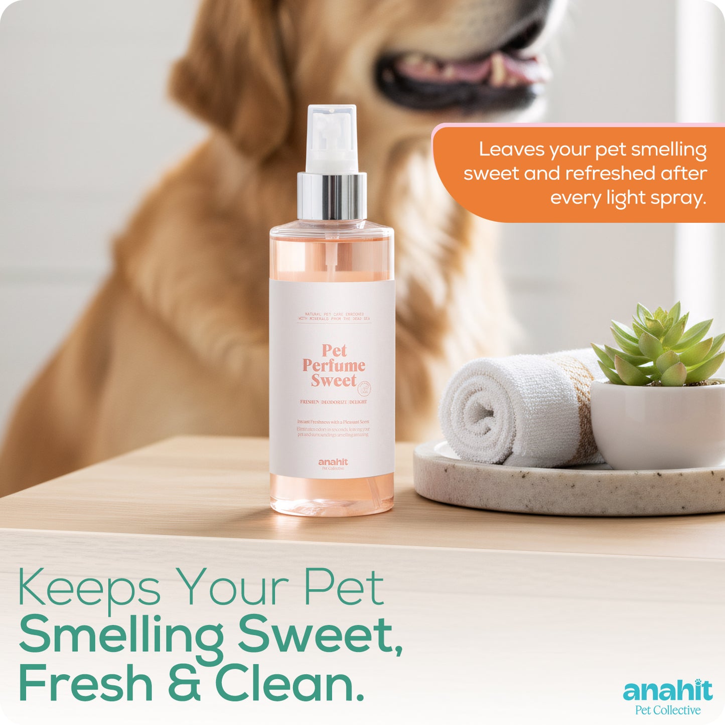 Pet Perfume Sweet