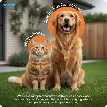 Pet Perfume Anahit