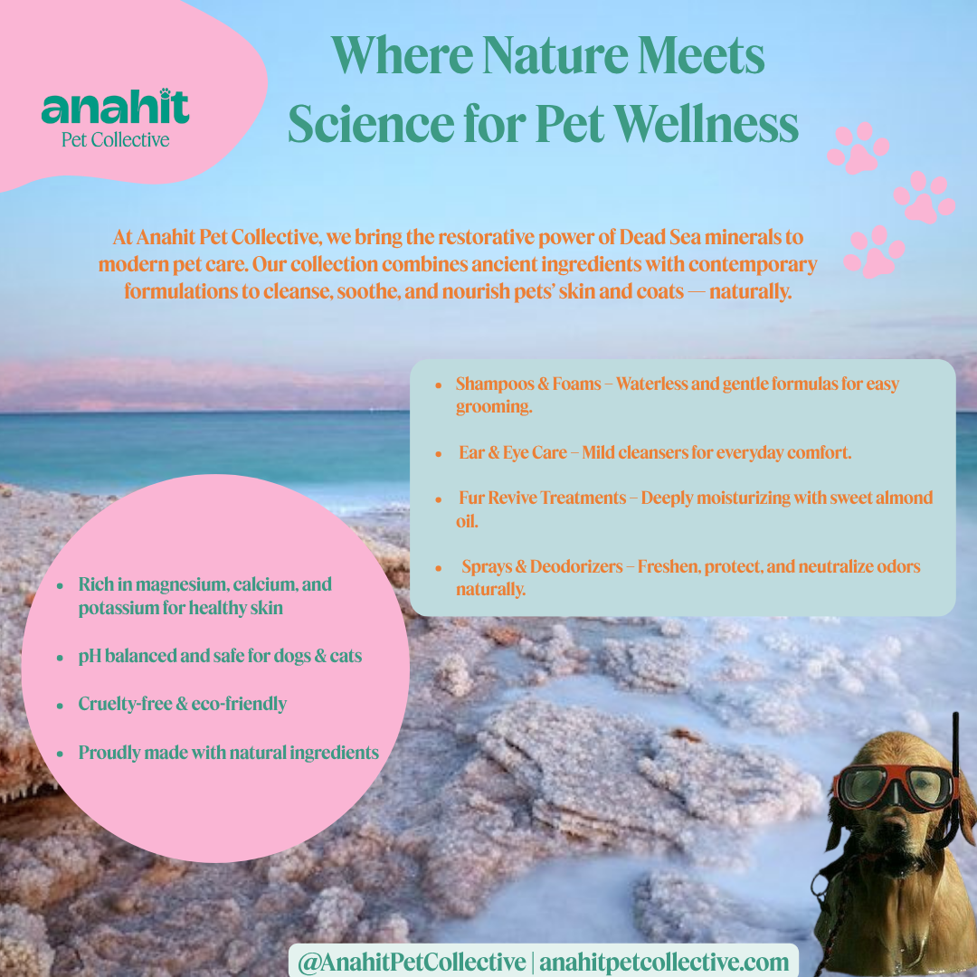 "Anahit Pet Collective - natural Dead Sea pet care products"