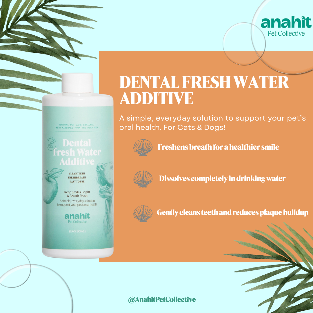 Dental Fresh Water Additive Apple Flavor