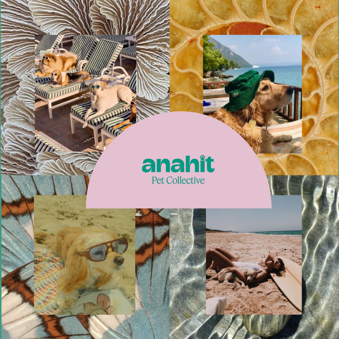 Hydration & Shine Bundle