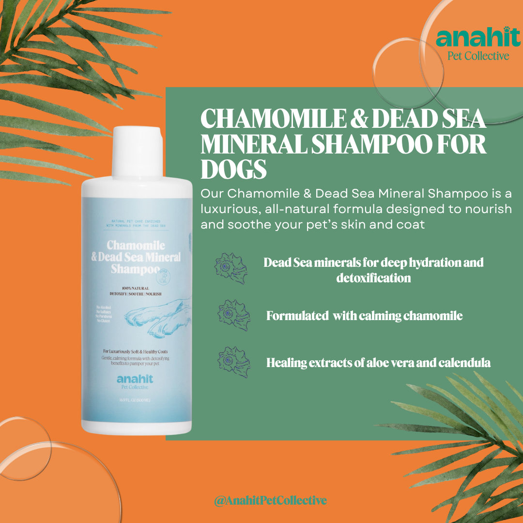Chamomile & Dead Sea Mineral Shampoo For Dogs